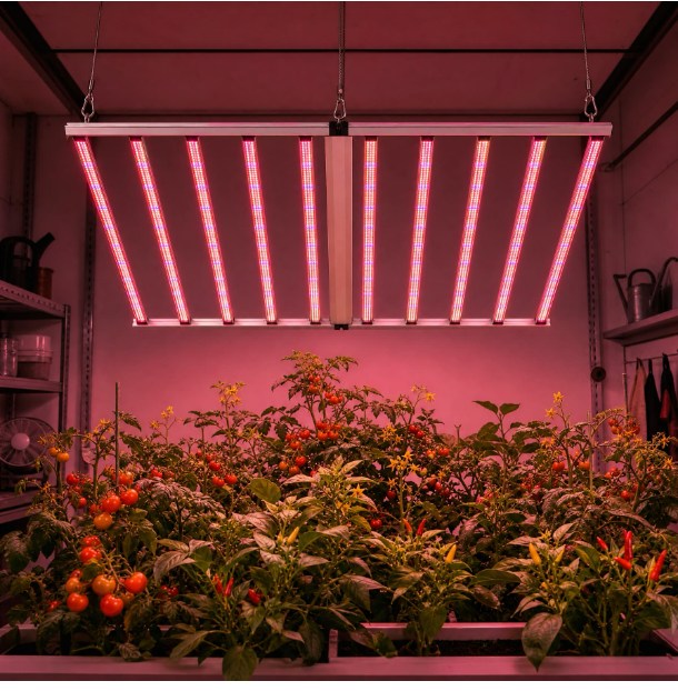 LED Plant Lights